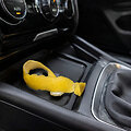 Citrina automobilyje