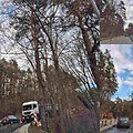 Netikėtai pradėti Romainių kalno tvarkymo darbai / &bdquo;Romainiai - Naujieji Romainiai&ldquo; soc. tinklų nuotr.