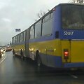 Pa&scaron;ėlęs autobuso vairuotojas
