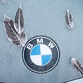 Automobilis žiemą, BMW