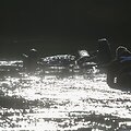 Neryje aptiktas nuskendęs automobilis