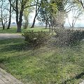 Būriais skraidantys ma&scaron;alai poilsiautojus vertė dengtis burnas ir mosikuoti rankomis.