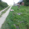 Įvykio vietoje
