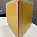 &bdquo;Swans&ldquo; albumas