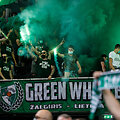 Green white boys