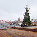 Kauno Kalėdų eglės pristatymas