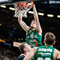 Laurynas Birutis
