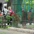Zoologijos sode