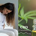 Lėtinis skausmas / CBD produktai