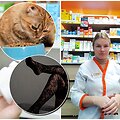 Budinčioje vaistinėje dirbanti Vilmantė sako sulaukianti netikėtų pra&scaron;ymų