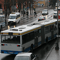 Klaipėdoje konfliktų tarp keleivių ir vairuotojų padaugėjo įvedus naują lipimo į autobusus sistemą. 
