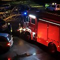 Klaipėdoje virto medžiai