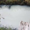 Rąžės upelio vandenys priminė pieną
