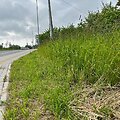 Prastai nu&scaron;ienautos pakelės Klaipėdos mieste
