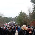 Kurorte &scaron;urmuliuoja &bdquo;Palangos stinta 2019&ldquo;