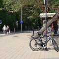 Draudimų važiuoti dviračiu paiso ne visi.