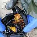 Po audros jūra padovanojo gintarinių laimikių.
