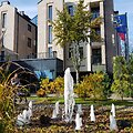 "Amsterdam Plaza" vie&scaron;butis ir jo vadovė Renata Statkevičienė