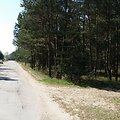 Palangoje ketinama i&scaron;kirsti brandžias pu&scaron;is ir įrengti apie 400 automobilių stovėjimo vietų.