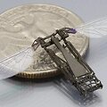Robotas-bitė