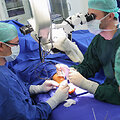 VUL Santari&scaron;kių klinikų Plastinės  ir rekonstrukcinės chirurgijos centras