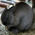 Vilniečiai dalyvavo &scaron;ventiniame renginyje