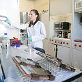 Vilniaus universiteto Biotechnologijos instituto profesoriaus Virginijaus &Scaron;ik&scaron;nio laboratorija
