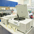 Vilniaus universiteto Biotechnologijos instituto profesoriaus Virginijaus &Scaron;ik&scaron;nio laboratorija