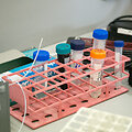Vilniaus universiteto Biotechnologijos instituto profesoriaus Virginijaus &Scaron;ik&scaron;nio laboratorija