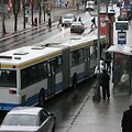 Vasario 16-ąją Klaipėdoje autobusai kursuos kitaip nei įprasta. 