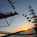 &bdquo;Baltic Tall Ships Regatta 2015&ldquo;