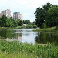 Baltupių tvenkinys