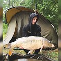 Eirido iki &scaron;iol sugautas didžiausias laimikis yra veidrodinis karpis, kuris svėrė 13 kilogramų 800 gramų. &Scaron;is susigundė ant baltyminio kukulio, kitaip vadinamo boilio.