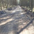 Dviračių taku &scaron;į pavasarį į Juodkrantę jau nebenuvažiuosi - vyksta intensyvūs statybos darbai, o keliauti dviračiu plentu, kur vyksta ir automobilių eismas, ryžtasi ne visi. 