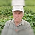 &Scaron;ėtos &Scaron;venčiausiosios Trejybės parapijos klebonui kunigui Robertui Gedvydui Skrinskui jo paties puoselėjamos lysvės tapo skausmingų i&scaron;bandymų &scaron;altiniu