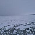 Baltijos jūra ties Palanga ketvirtadienio pavakarę.