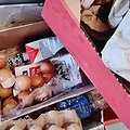 Globos namuose nustatyti &scaron;iurk&scaron;tūs maisto saugos pažeidimai