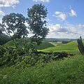 Per audrą stipriai nukentėjo Kernavės archeologinė vietovė