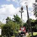 ESO darbuotojai intensyviai tvarko elektros linijas