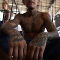 &bdquo;Mara Salvatrucha&ldquo; (MS13) gaujos narys