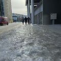 Apledėjęs Vilniaus &scaron;aligatvis