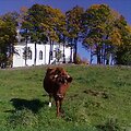 &Scaron;vč. Mergelės Marijos Nugalėtojos bažnyčia Kazoki&scaron;kėse