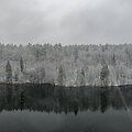 Vilnių nuklojo sniegas