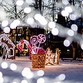 Kalėdinis Vilnius