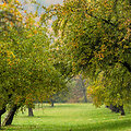 Ruduo Pavilnių regioniniame parke