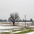 Raitininkų kaimas