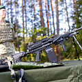 Valstybės sienos apsaugos tarnybos gaunamos ginkluotės &ndash; kulkosvaidžių FN MINIMI ir automatinių ginklų G-36 pristatymąs