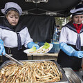 &bdquo;Palangos stinta 2015&ldquo;