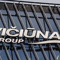 Vičiūnai group