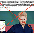 Lengvatikiams privilioti panaudota kandenciją baigusios prezidentės Dalios Grybauskaitės nuotrauka